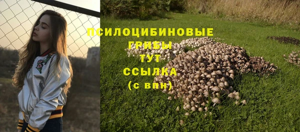 кокс Абаза