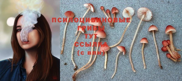 круглые Медногорск
