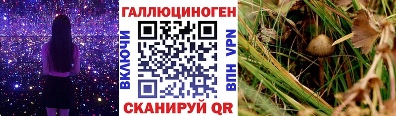 Галлюциногенные грибы мухоморы Шлиссельбург