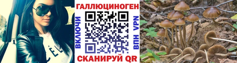 Галлюциногенные грибы ЛСД  Шлиссельбург 